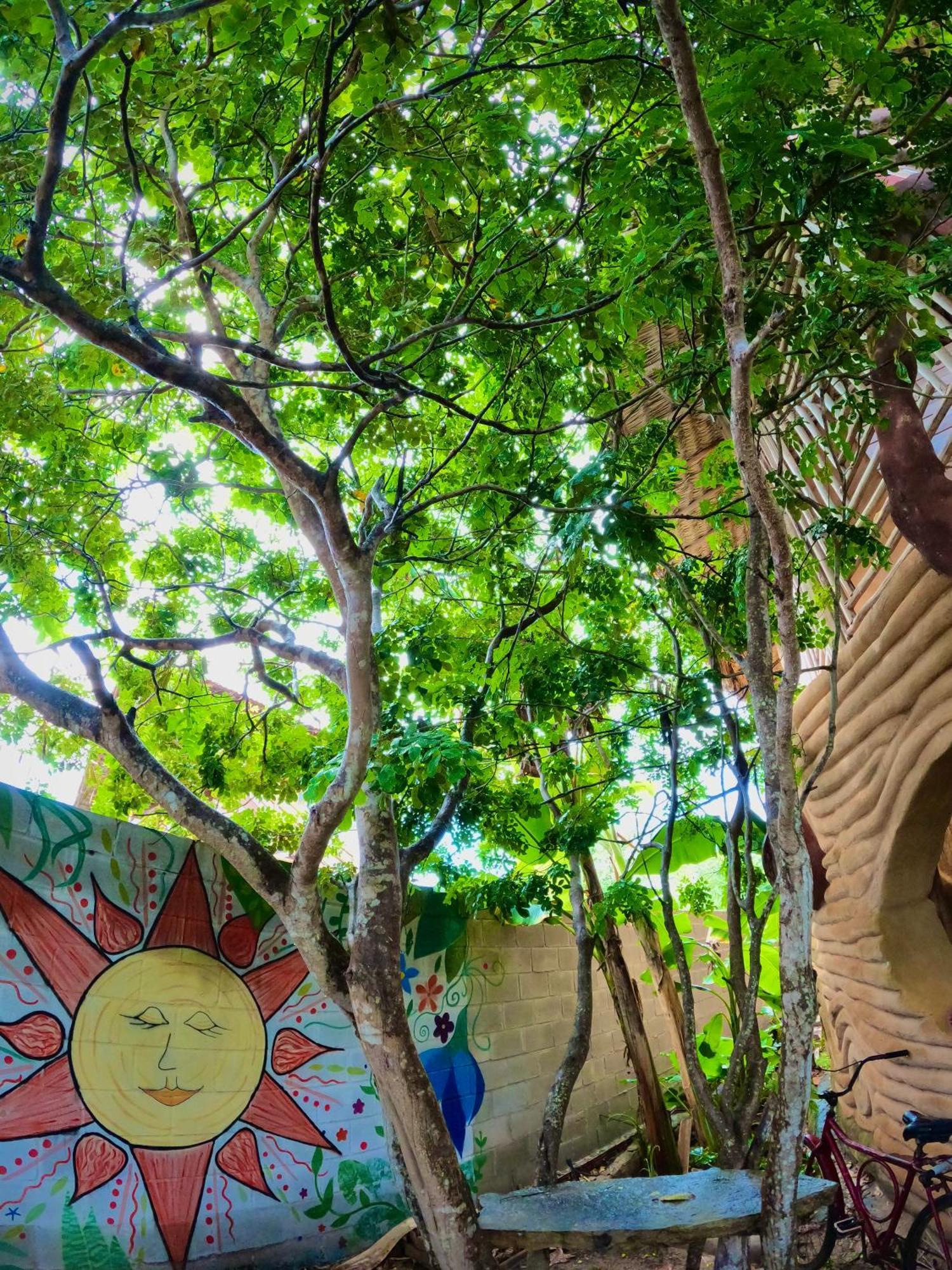 Raizes Eco Hostel Barra Grande  Exterior photo