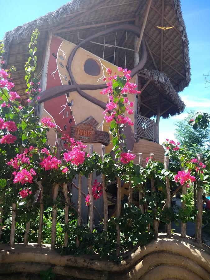 Raizes Eco Hostel Barra Grande  Exterior photo