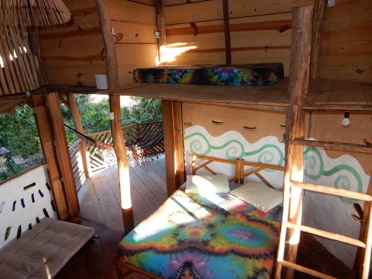 Raizes Eco Hostel Barra Grande  Exterior photo