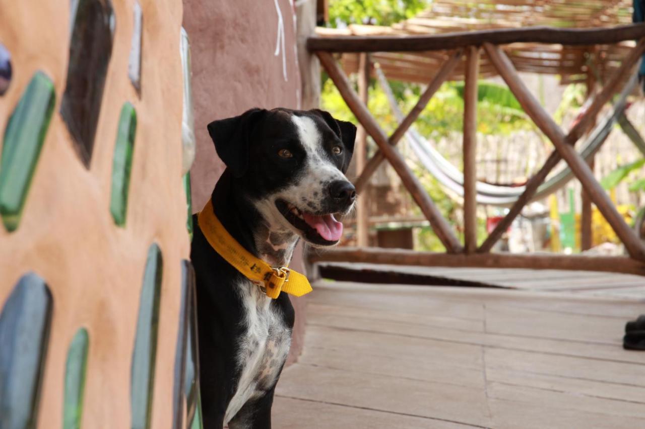 Raizes Eco Hostel Barra Grande  Exterior photo