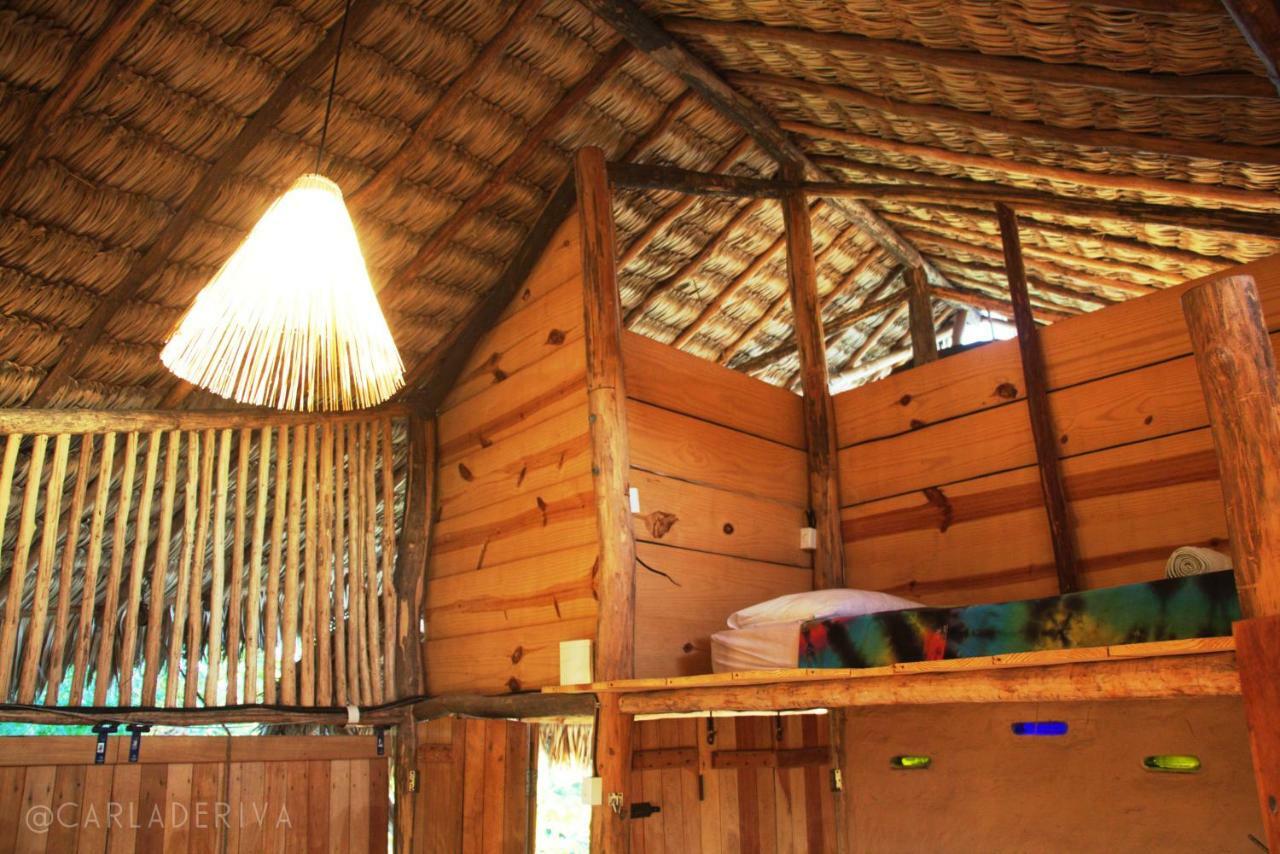 Raizes Eco Hostel Barra Grande  Exterior photo